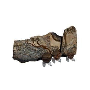 Biggs Jasper (Oregon)