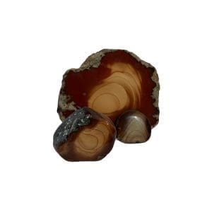 Bruneau Jasper (Idaho)