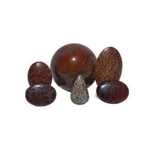 Dinosaur Bone (So Utah)