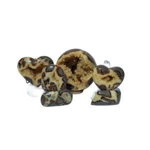 Septarian (Orderville, UT)