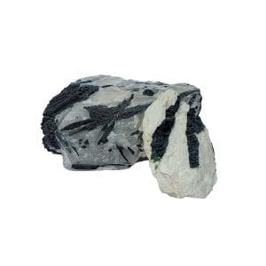 Black Tourmaline in Quartz